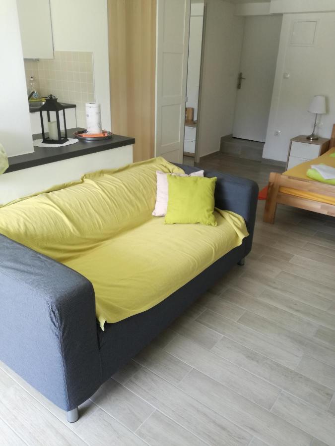 Apartment Dvorska 茨里克韦尼察 外观 照片